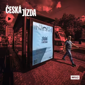 Nezírejte na spolucestující v MHD, ale na politiky v zastupitelstvech