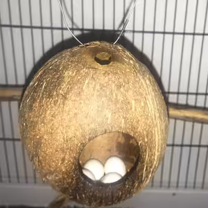 melancholie vzpomínek