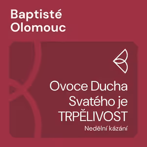 Ovoce Ducha Svatého je TRPĚLIVOST (12.7.2020)