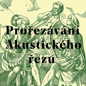 Prořezávání No. 11 - ROMAN POKORNÝ (P.R.D.I.)
