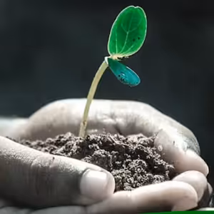 Znamení Boží důvěry (27. mezidobí Nové Sedlo)