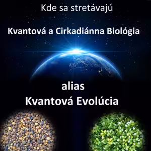 Kvantová Biológia #2 Kde sa stretli Kvantová a Cirkadiánna Biológia alias Kvantová Evolúcia