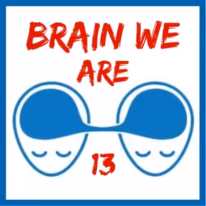 13: Vesmíry a Mozky