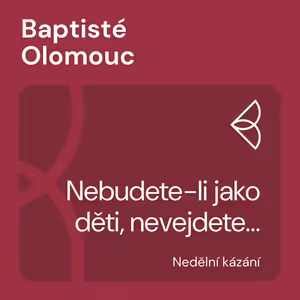 Nebudete-li jako děti, nevejdete... (28.2.2021)