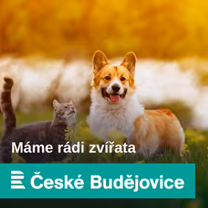 Máme rádi zvířata