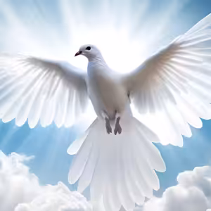 Novoroční přání divákům Cest k sobě