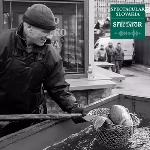 Dogs bark quietly at Christmas in Slovakia