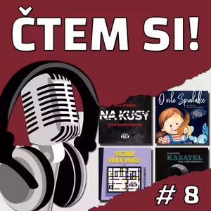 #8 Víla Na kusy káže boogie-woogie