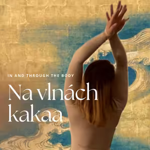 O endometrióze, maskách a přístupu k životu | Aneta Berana | In and through the body