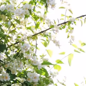 Služby Božie 21. 4. 2024 | Povzbudenie pre dušu