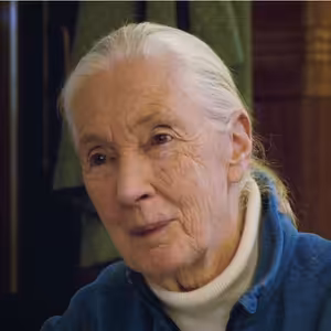 JANE GOODALL: "Nevím, jestli je naděje, ale přece nesložím ruce do klína!"