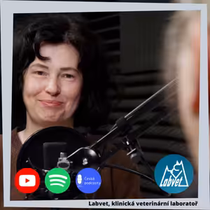 Problémy s psí kůží