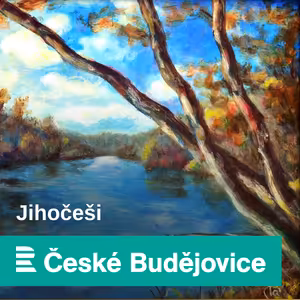 Jihočeši