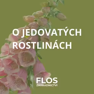 O jedovatých rostlinách