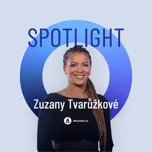 Ti nejlépe placení už nebudou potřeba. Spousta firem zkrachuje, říká o AI Čermáková