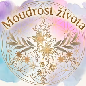 Yoga Nidra - Meditace, Restart na všech úrovních