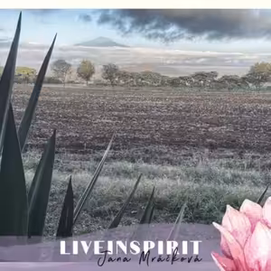 Může mít světové dění jako covid a válka smysl, nebo...?