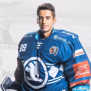 Rozhovor s brankářem HC Škoda Plzeň Dominikem Pavlátem o nominaci do reprezentace a playoff české extraligy