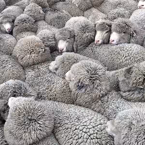 Služby Božie 14. 4. 2024 | Dobrý Pastier