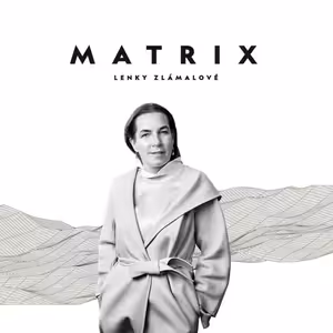 Zvažme omezení volebního práva věkem, říká největší zastánce Green Dealu v byznysu Luděk Sekyra.