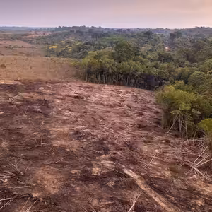 Bart Sims - Strojove sekání Amazonky!