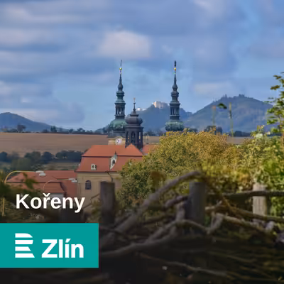 Kořeny