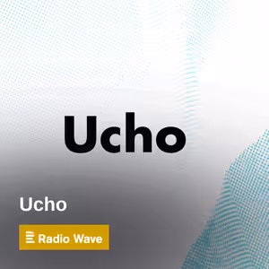 Ucho