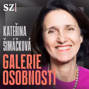 Česko vyslalo signál, že má problém chránit oběti násilí, říká soudkyně