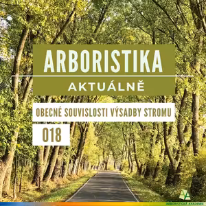 Obecné souvislosti výsadby stromu - Arboristika aktuálně #018