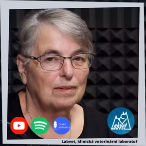 Jak přežít poslední den v roce?