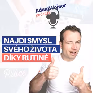 Najdi Svůj Smyslem Života Díky Rutině, podle V. Frankla a J. Petersona