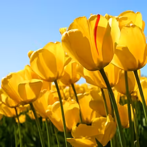 Květen 2021 - Květen člověka a národa