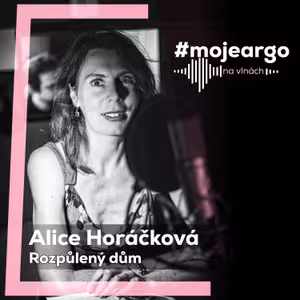 Snažila jsem se, aby v Rozpůleném domu nebyl jen český pohled, říká Alice Horáčková