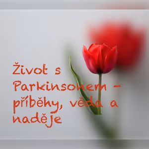 S psycholožkou Michaelou Konečnou: O roli psychologa v léčbě pacientů s Parkinsonovou chorobou.