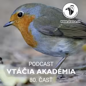 Poznajú si vtáky vlastné vajíčka?