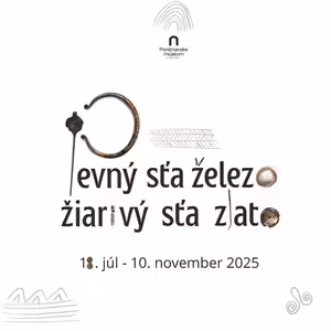 Pevný sťa železo, žiarivý sťa zlato - Mgr. Tomáš Dragun, PhD.