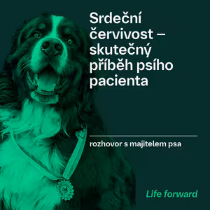 Srdeční červivost | Rozhovor s majitelem psa