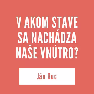 V AKOM STAVE SA NACHÁDZA NAŠE VNÚTRO? | Ján Buc
