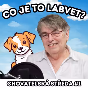 👩‍⚕️CO je to LABVET?👩‍⚕️| Chovatelská středa #1