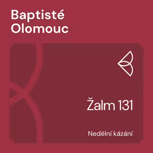 Žalm 131 (23.6.2024)