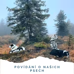#4 Krušnoto(u)kly - povídání o našich psech