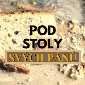 Petr Bača | Pod stoly svých pánů