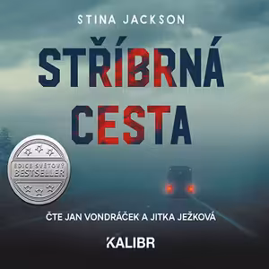 Knižní ochutnávka: Stříbrná cesta (Stina Jackson)