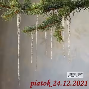 Cesta vzostupu 124 - 2021-12-24 Vianočná úvaha