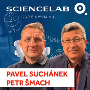 Česko tloustne. Každý druhý muž v Česku má nadváhu, obézní stojí stát sedmkrát víc peněz