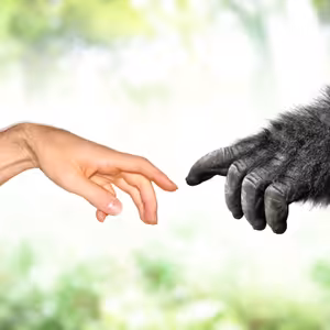 Črevo a mozog #1 Skutočné paleo a pôvod lowcarb