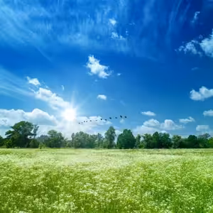 Horká kaše speciál: Jak se měří kvalita ovzduší