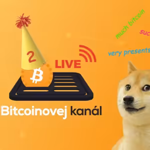 BK LIVE: Narozeninový stream