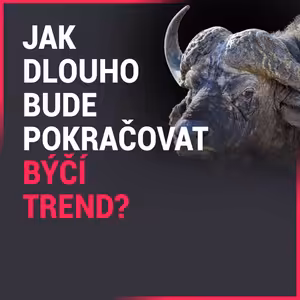 ANKETY: Životnost býčího trendu a možné spouštěče paniky