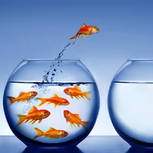 Small Talk #65 - Jak věci měnit